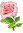 Tiny pink rose